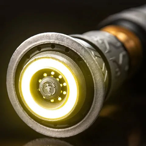 A Vow of Light